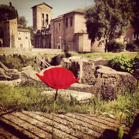 La Ai Musei * Rom